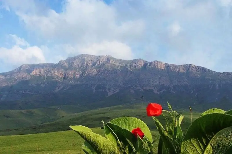 Оңтүстікте Ұлыстың ұлы күні киелі Қазығұрттан басталады