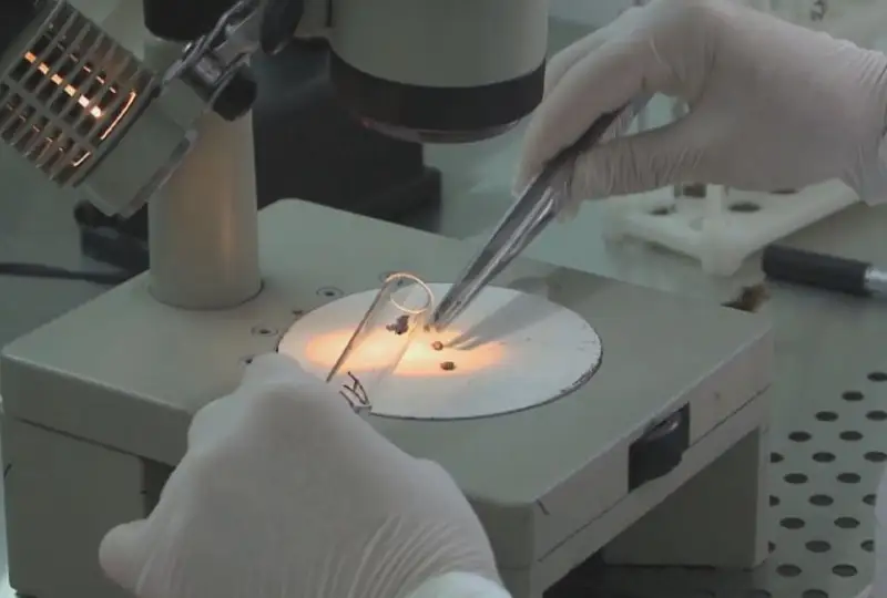 Пострадали от укусов клещей 3 тыс. жителей Восточного Казахстана