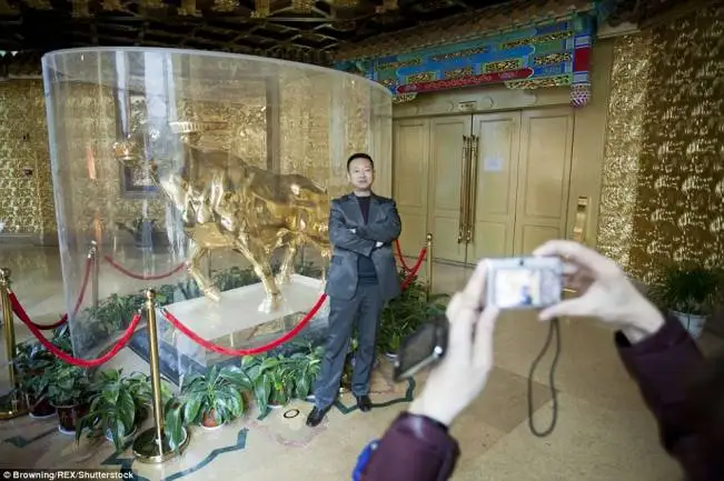 3A69137500000578-3942208-image-a-96_1479467026533_651x433