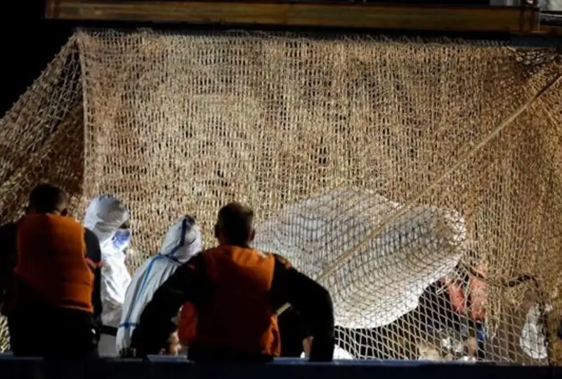 Заплывшего в реку во Франции кита не смогли спасти и усыпили