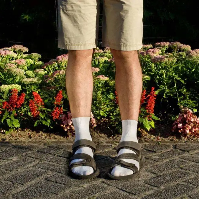 19120465-Socks-Sandals-1479266048-650-e5e3a6220e-1479388354