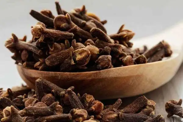 قازاقتىڭ شايعا قالامپىر قوسىپ، ماي ساپىرىپ ىشەتىن ادەتى باتىستا دارىپتەلىپ جاتىر