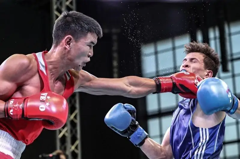 بوكستان الەم چەمپيوناتى: ەل نامىسىن كىمدەر قورعايدى؟