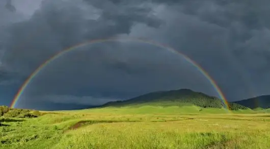 عالىمدار كەمپىرقوساقتىڭ 12 ءتۇرىن انىقتادى