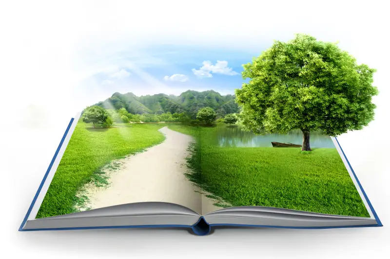مەكتەپتەردە ەكولوگيا ساعاتى ەنگىزىلەدى - ءبىلىم ءمينيسترى