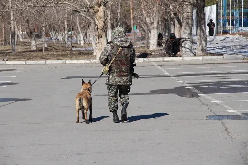 Павлодарда полиция лаңкестікке қарсы күрес жаттығуын өткізді