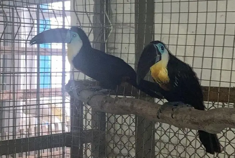 Зоопарк Караганды пополнился новыми обитателями