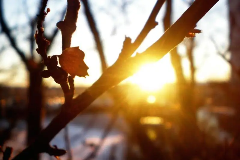دەمالىس كۇندەرى قازاقستاندا اۋا رايى قانداي بولادى