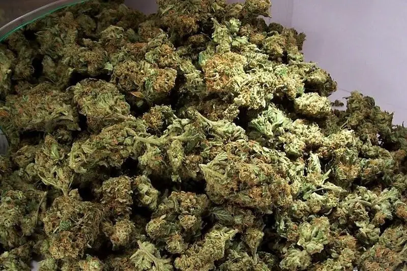 Около четырех кг марихуаны изъяли полицейские у жителя Тараза