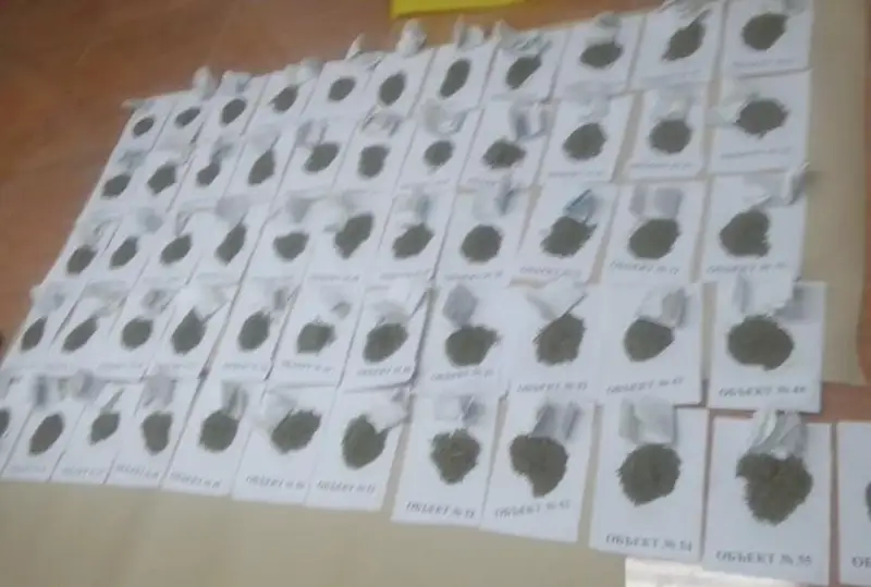 Крупную партию наркотиков изъяли у жителя Кызылодинской области