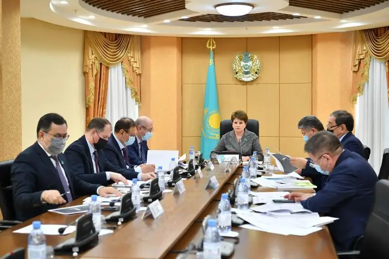 سەناتتا قول جەتىمدى باسپانا بەرۋ ماسەلەسى تالقىلاندى