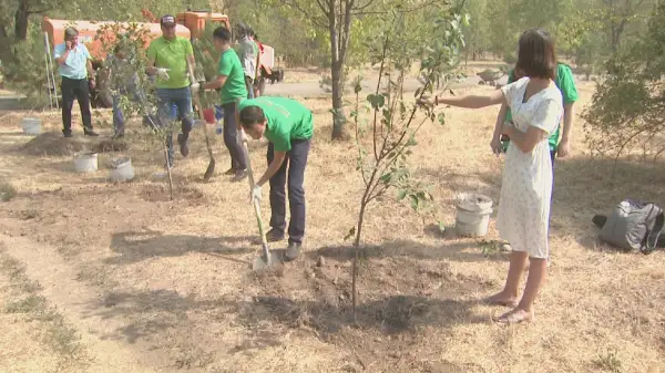 الماتىدا جۋرناليستەر اللەياسى اشىلدى