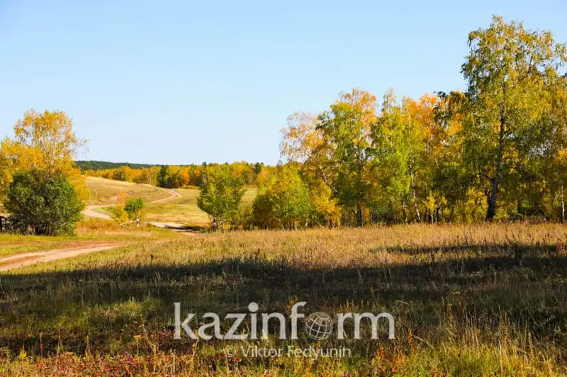 Рост численности диких животных в нацпарке «Бурабай» отмечают эксперты