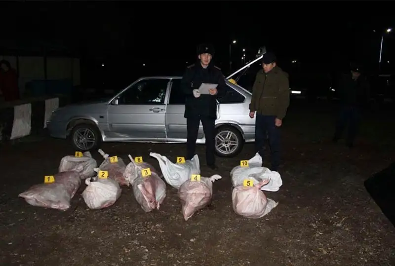27 туш сайги и оружие: браконьеров задержали в Актюбинской области