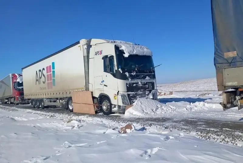 Десятки фур спасли на трассе Омск - Майкапчагай