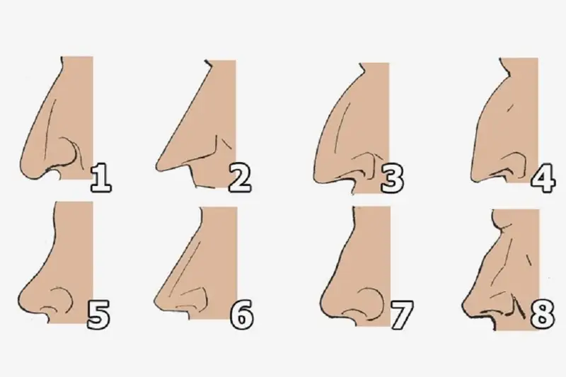 مۇرىن پىشىنىڭىزگە قاراپ مىنەزىڭىزدى انىقتاڭىز
