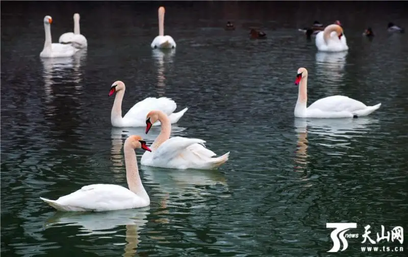 Қазақстан инвестиция салуға ең қолайлы елдердің бірі  - Шетелдегі қазақ тілді БАҚ-қа шолу