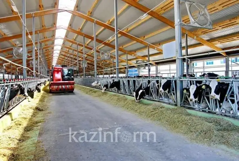 Qazaqstanda fermerlik sharýashylyqtarǵa shaǵyn nesıe berý jalǵasady