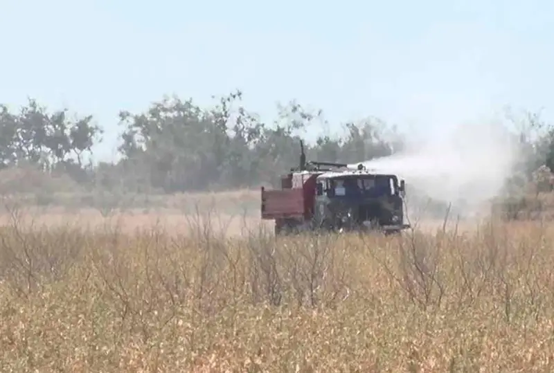 Угрозу потери посевов и пастбищ из-за нашествия гусениц устранили в Атырау