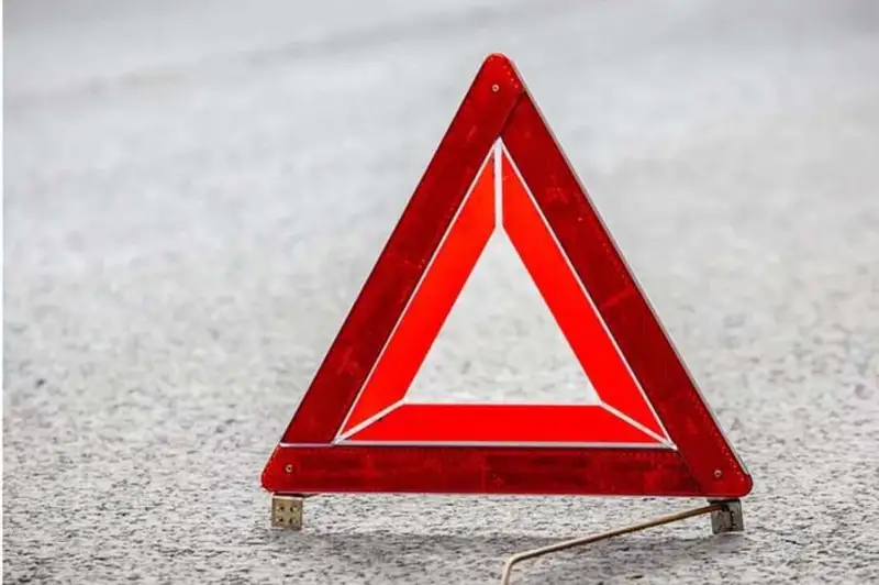 Микроавтобус задавил годовалого ребенка в Алматинской области