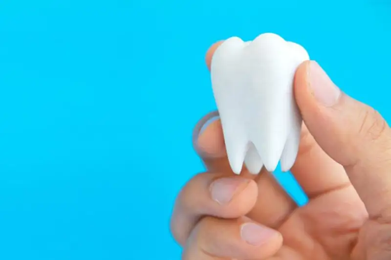 جاپون عالىمدارى ءتىس ءوسىرۋدىڭ جاڭا تەحنولوگياسىن ويلاپ تاپتى