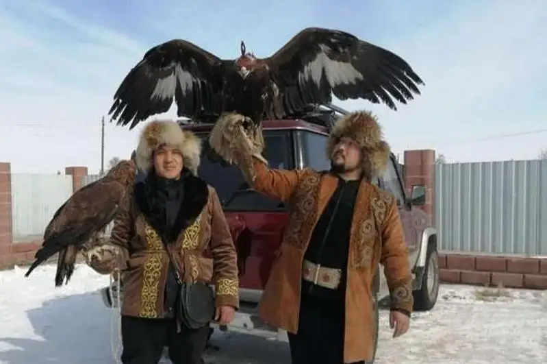 «Қансонар-2022»: тазы впервые пробежали 5 км на соревнованиях в Карагандинской области