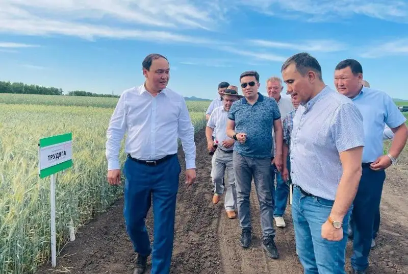 Aýyl sharýashylyǵy mınıstrligi sýbsıdııalaýdyń jańa tetigin ázirleýde