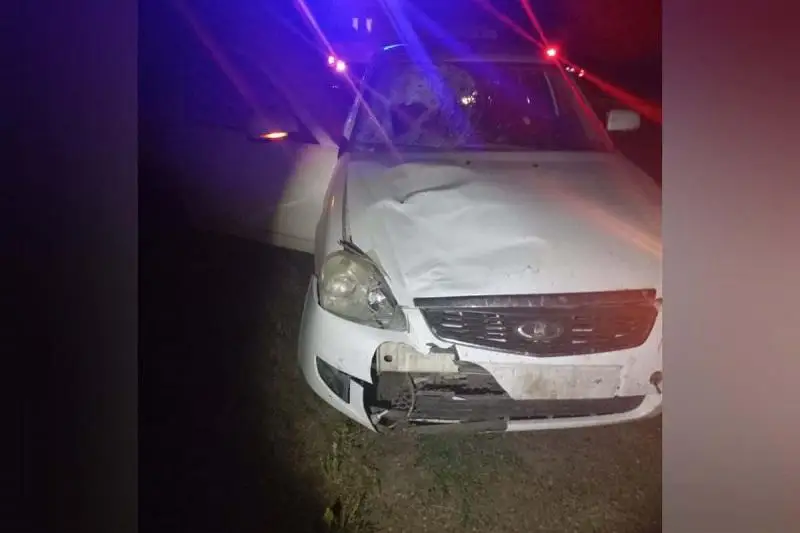 Перебегавшего дорогу мужчину сбили насмерть в ЗКО