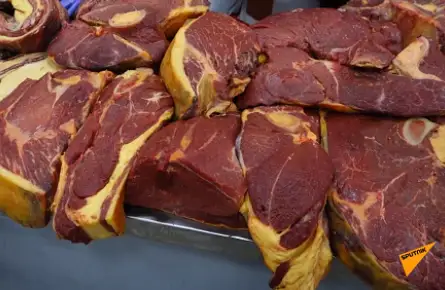 جىلقى ەتى تۇسىڭە كىرەدى...