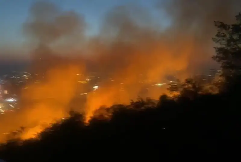 Причины пожаров  в Алматы назвали в МЧС РК