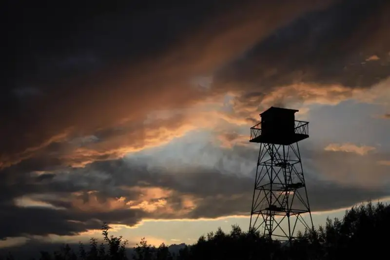 Изъято более 170 единиц боеприпасов при попытках провоза через границу РК