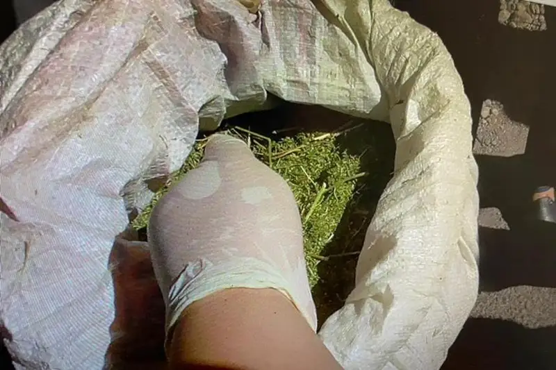 Более 2 кг наркотиков изъяли у жителя Туркестанской области