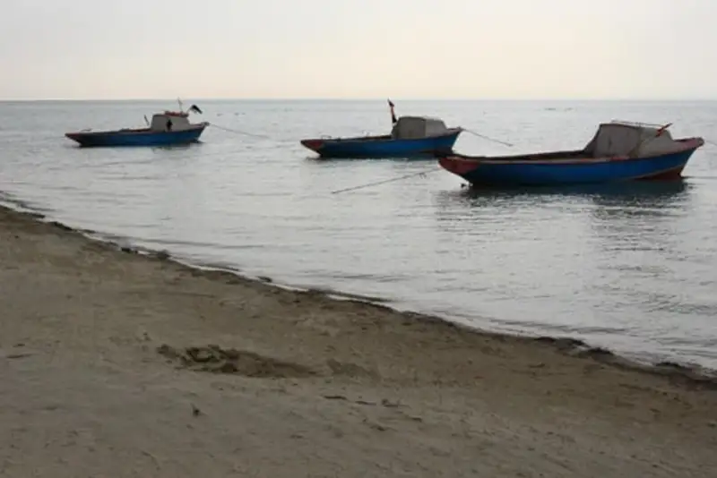 Озвучить конкретный план по спасению Арала требуют от Правительства депутаты