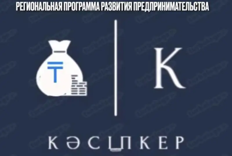 Программу поддержки предпринимателей разработали в Карагандинской области