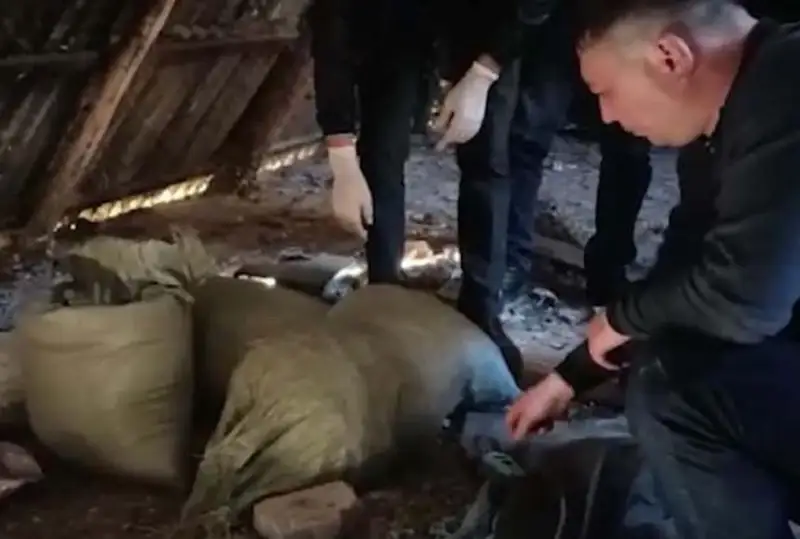 Около 60 кг марихуаны изъяли у жителя Жамбылской области