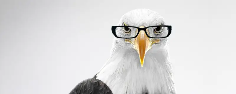 قۇستار قانشالىقتى اقىلدى؟