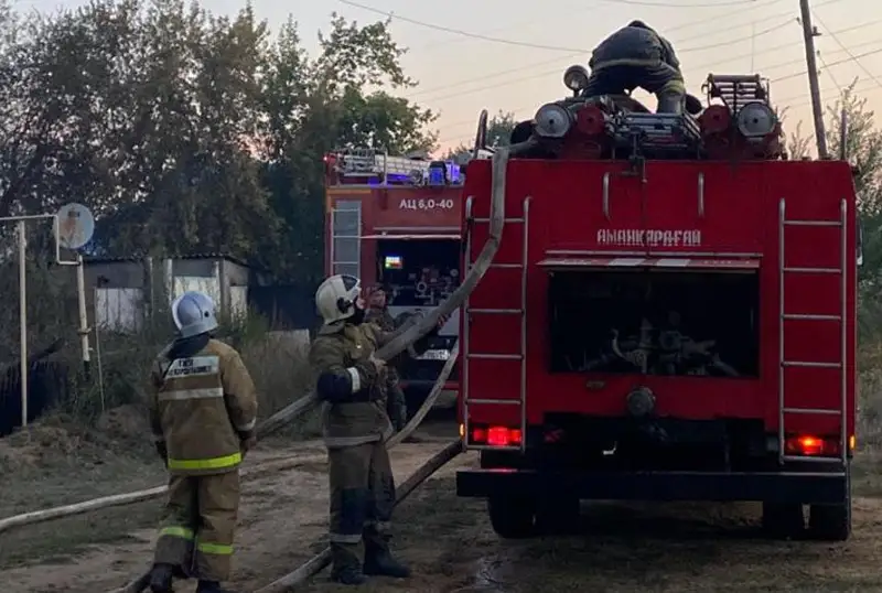 Больше всего пострадал от лесных пожаров поселок Аманкарагай – МЧС РК