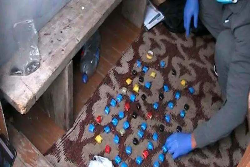 شىعىس قازاقستاندا 26 جاستاعى جىگىتتەن گاشيشتىڭ ءىرى پارتياسى تاركىلەندى