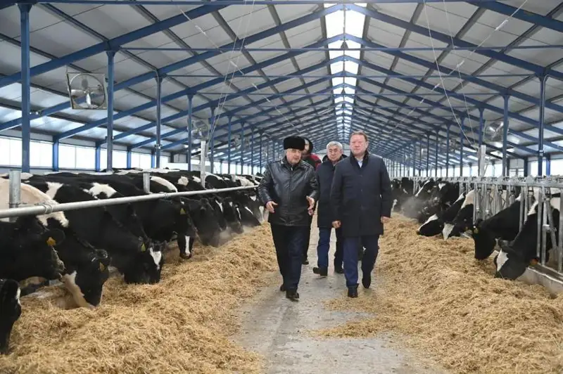 Инвестпроекты на 82 млрд тенге реализуют в сельском хозяйстве СКО