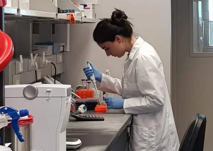 Случай заражения оспой обезьян выявили в Грузии