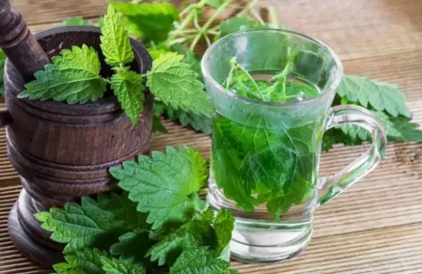 قالاقايدىڭ دەنساۋلىققا پايداسى قانداي