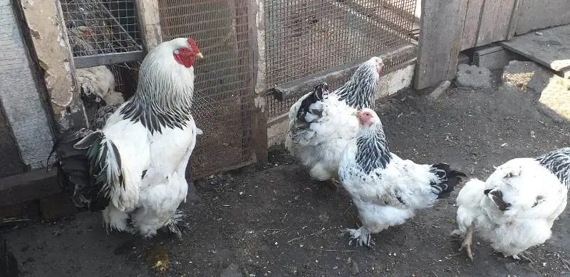 &ETH;&iexcl;&Ograve;&ETH; &Ntilde;&Ograve;&plusmn;&Ntilde;&Ograve;