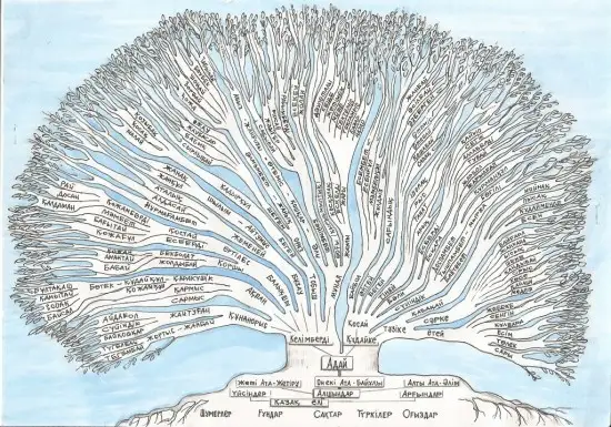 قازاقتىڭ ەڭ كوپ تاراعان رۋى بەلگىلى بولدى