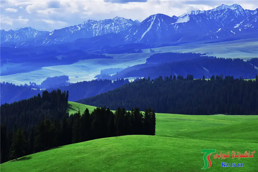 Қаражон жайлауындағы сахара салтанаты - Шетелдегі қазақ тілді БАҚ-қа шолу