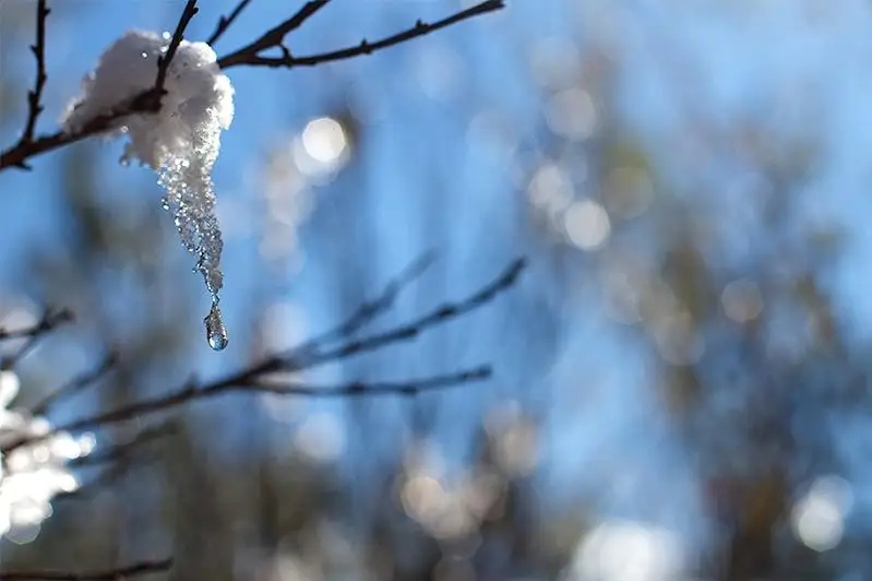 Из-за потепления интенсивное снеготаяние прогнозируют в пяти регионах РК