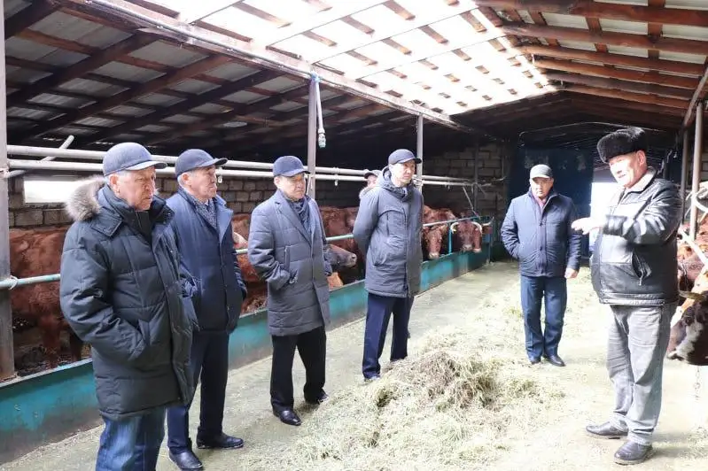 Дефицит пастбищ – одна из актуальных проблем актюбинских аграриев