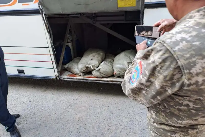 Полицейские изъяли у кызылординца 154 кг рыбы