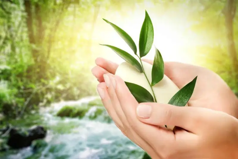 دەنساۋلىققا قاتىستى قىزىقتى دەرەكتەر