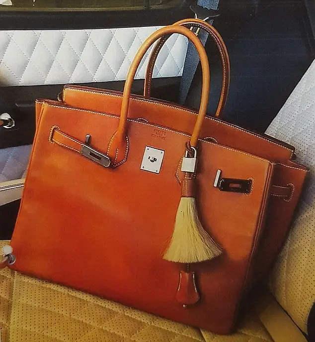 3B517E8400000578-4027270-Pictured_A_Hermes_handbag_Many_of_the_bags_seized_were_accompani-a-9_1481594097881