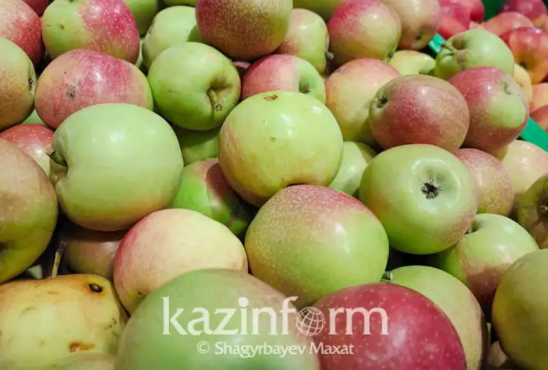 Цены на продукты питания в Кыргызстане выросли на 12,6%